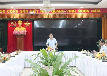 Phải cơ bản bàn giao toàn bộ mặt bằng làm đường gom dân sinh cao tốc Phan Thiết – Dầu Giây