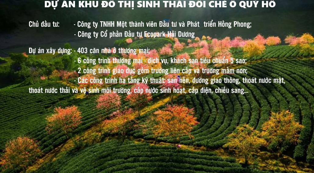 Tỉnh Lào Cai chấp thuận chủ trương đầu tư Dự án Khu đô thị sinh thái Đồi chè Ô Quý Hồ