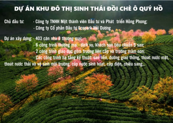 Tỉnh Lào Cai chấp thuận chủ trương đầu tư Dự án Khu đô thị sinh thái Đồi chè Ô Quý Hồ