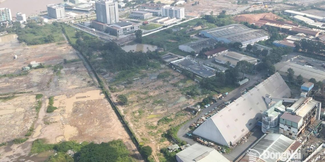 Đồng Nai sẽ đấu giá thêm 6 khu đất từ nay đến hết năm 2025