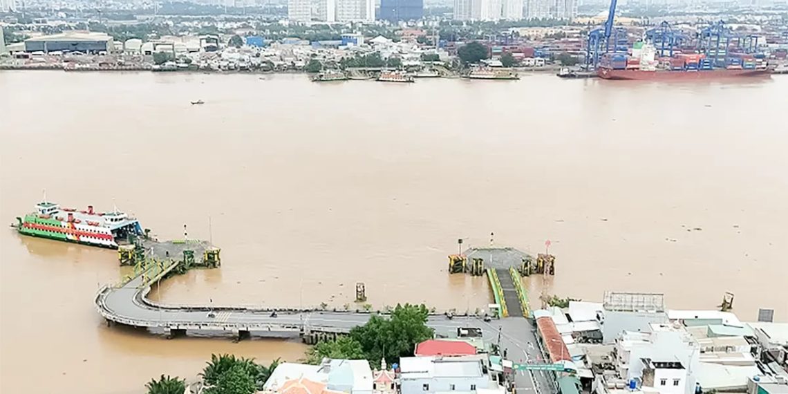 Thi tuyển phương án kiến trúc cầu Cát Lái và cầu Long Hưng