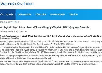 Xử phạt vi phạm hành chính đối với Công ty Cổ phần Bất động sản Sơn Kim